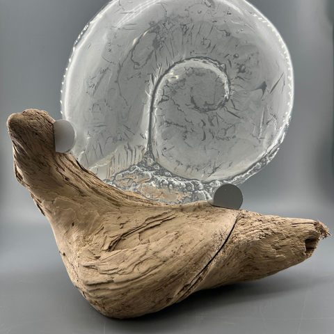 The Beach Collection